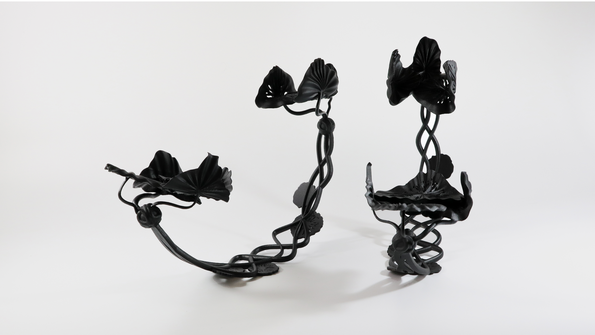 Delicate black, floral show design themed at fairies and witches.