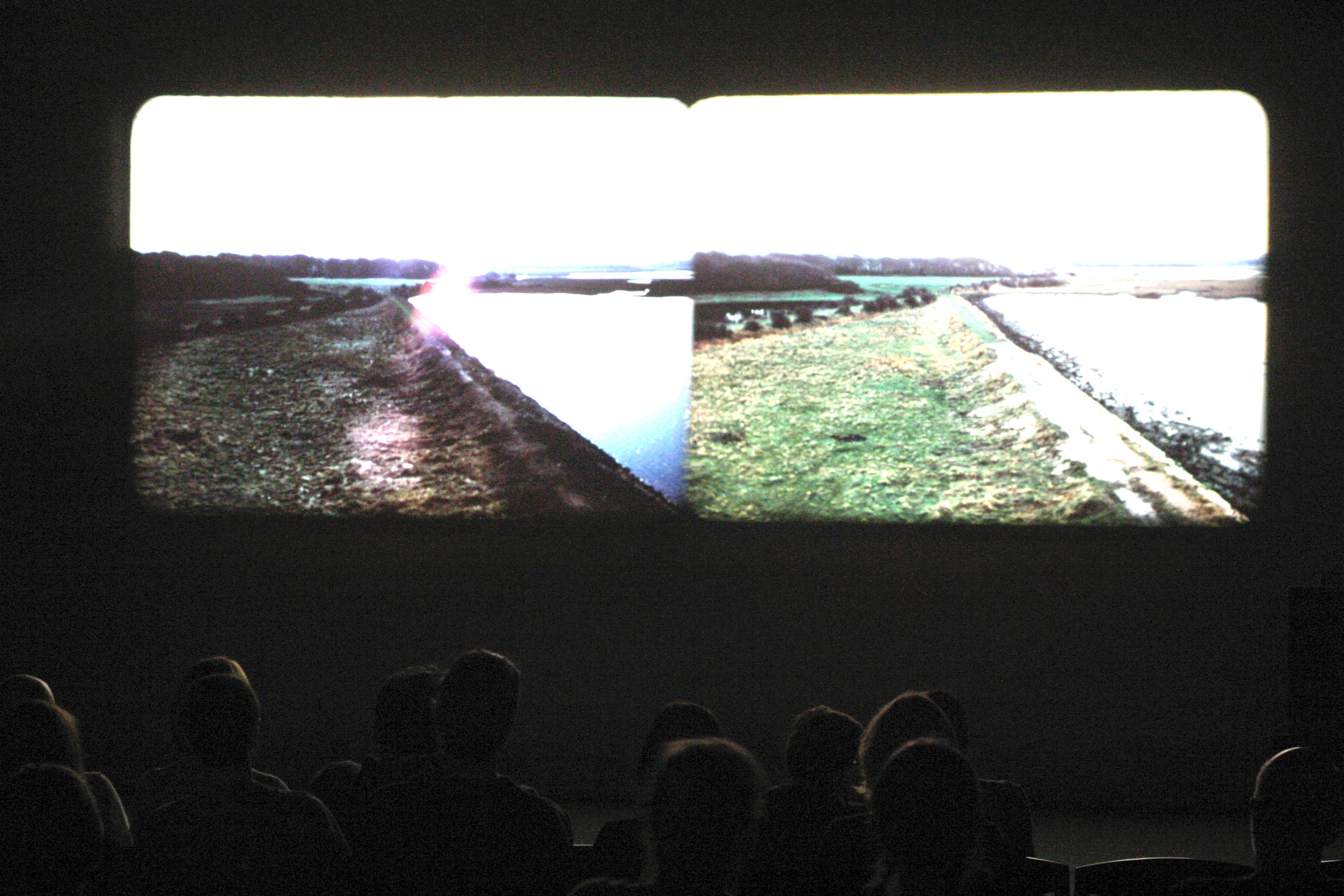 Movie still of people in a cinema watching the film, River Yar.