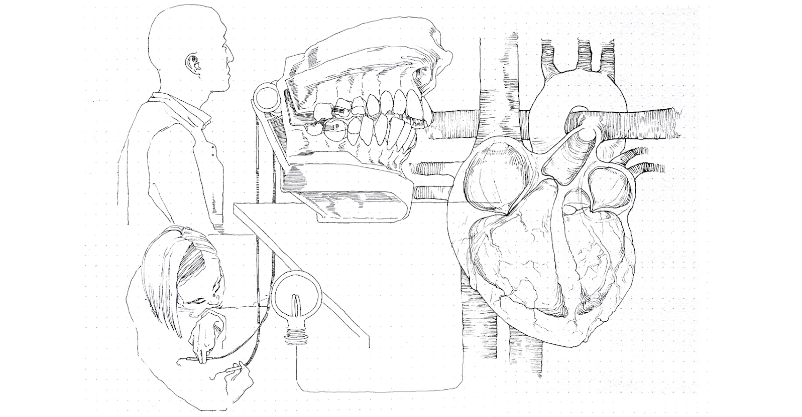 Stylised drawing of people with diagram of a heart and model of a jaw bone