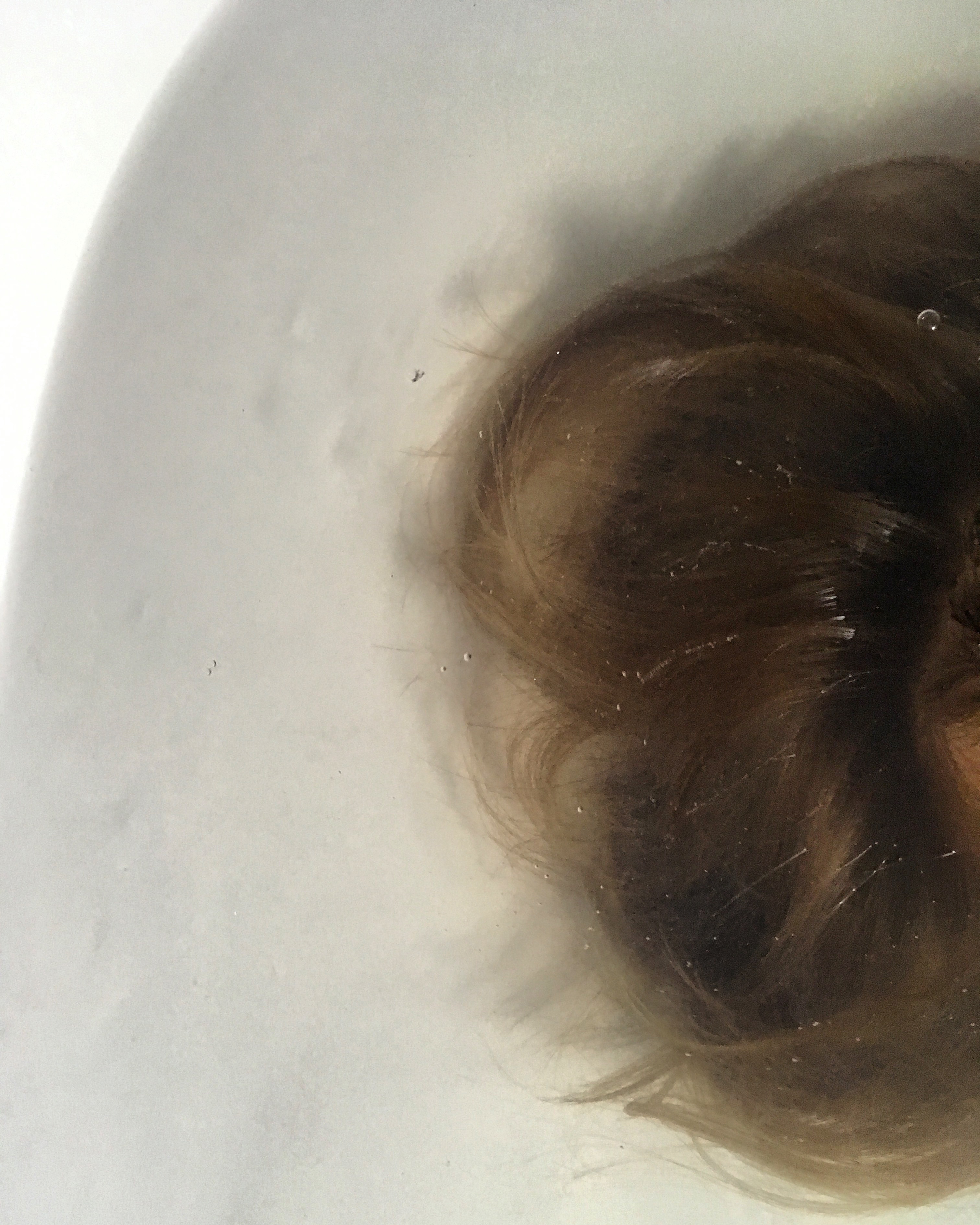 internal photography glimmers of living spaces