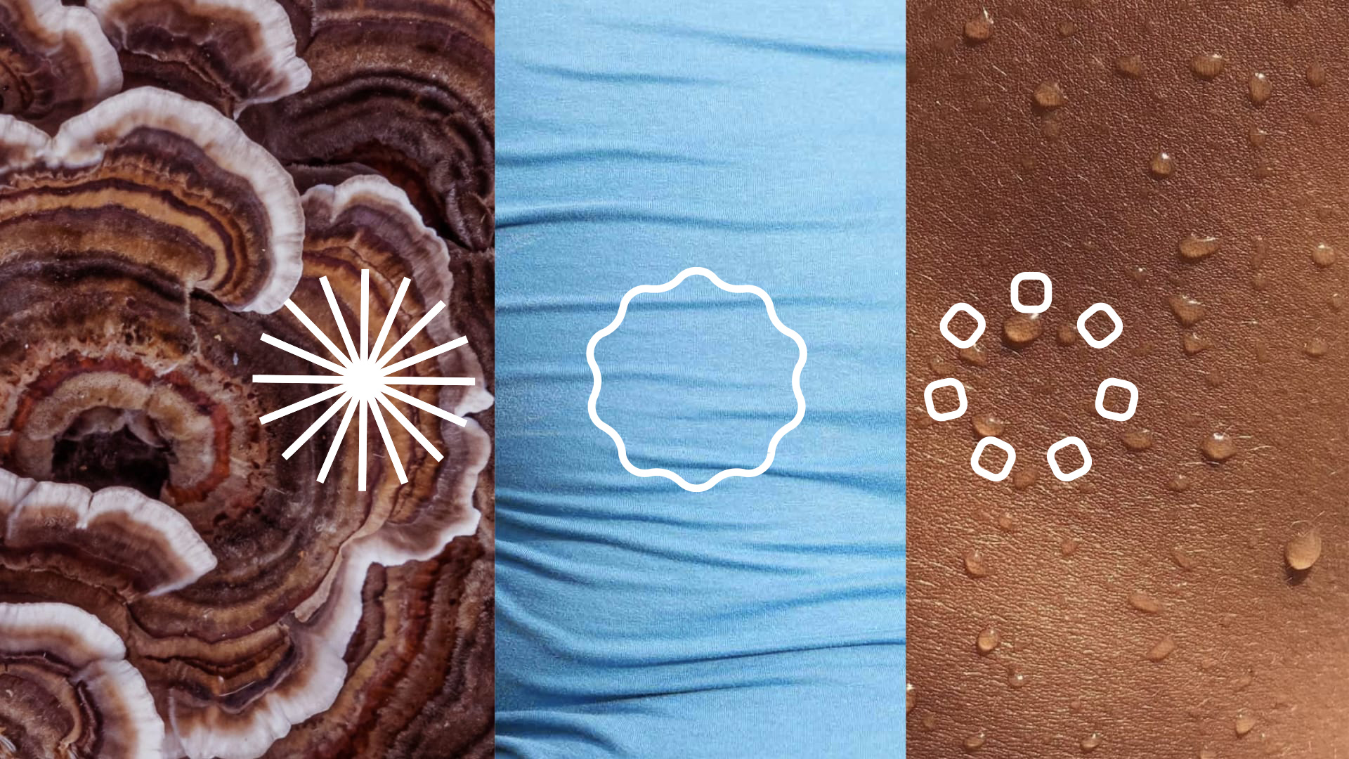 Three textured panels in brown and blue