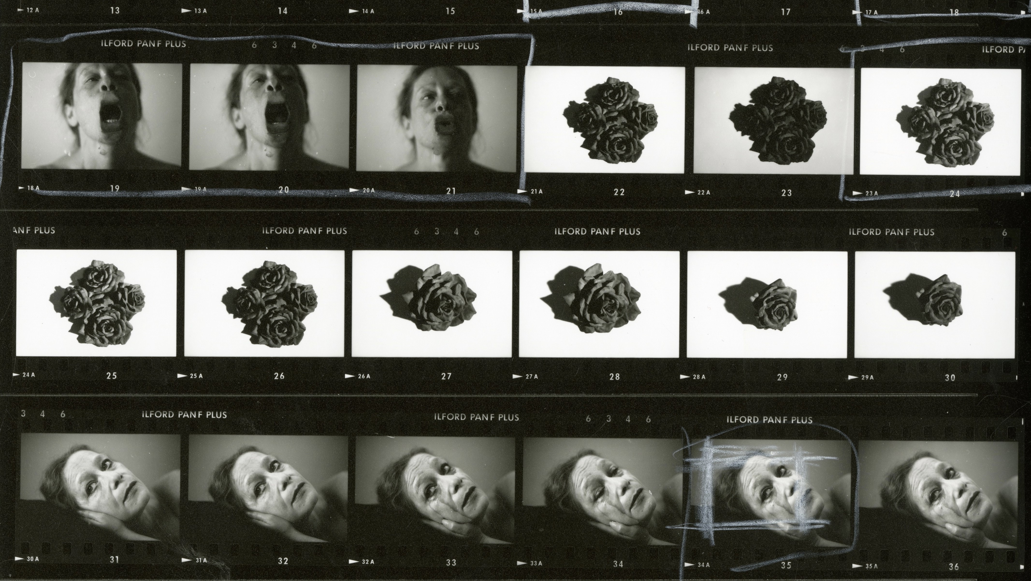 Contact sheet of black and white 35mm positive film showing images of a woman's face, some with a distorted mouth, and images of roses