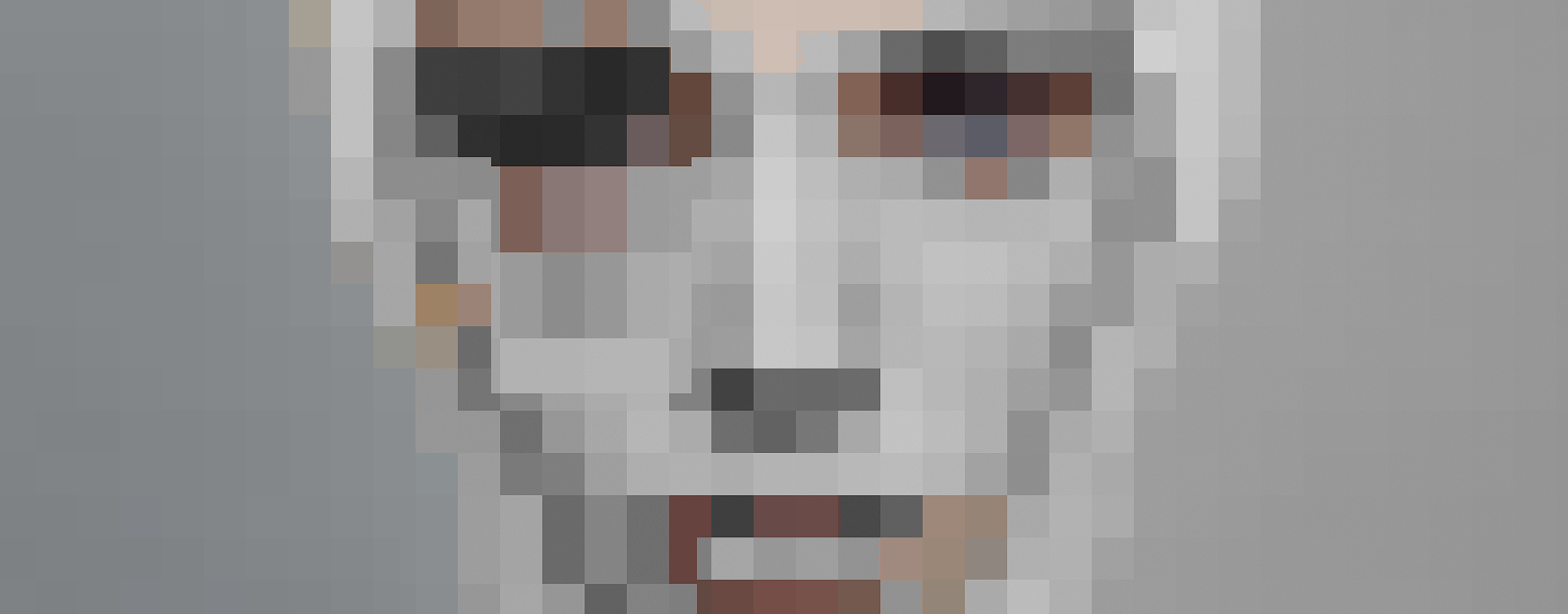 Pixelated face