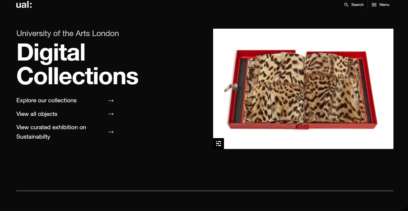 Screenshot of website with image of leopard skin book