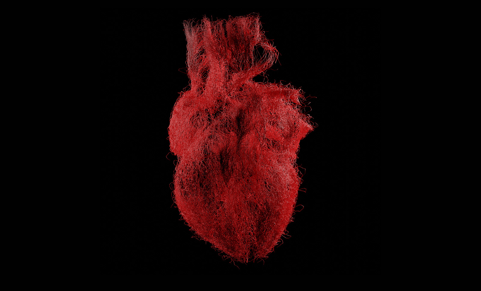A still of a moving graphic depicting a human heart.