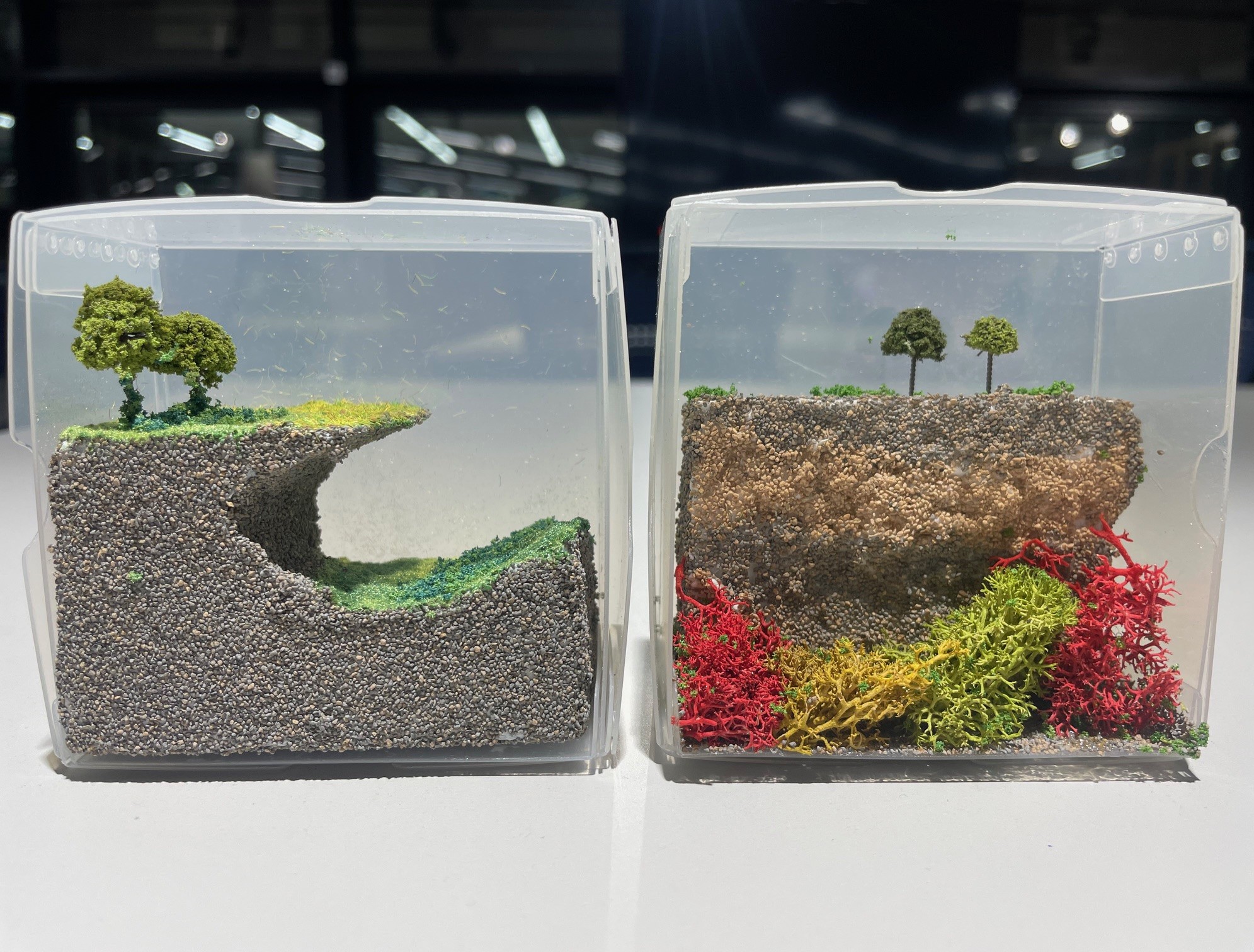 Colour photograph of two small clear plastic boxes resting on a table. Inside the boxes are small models of landscape scenes