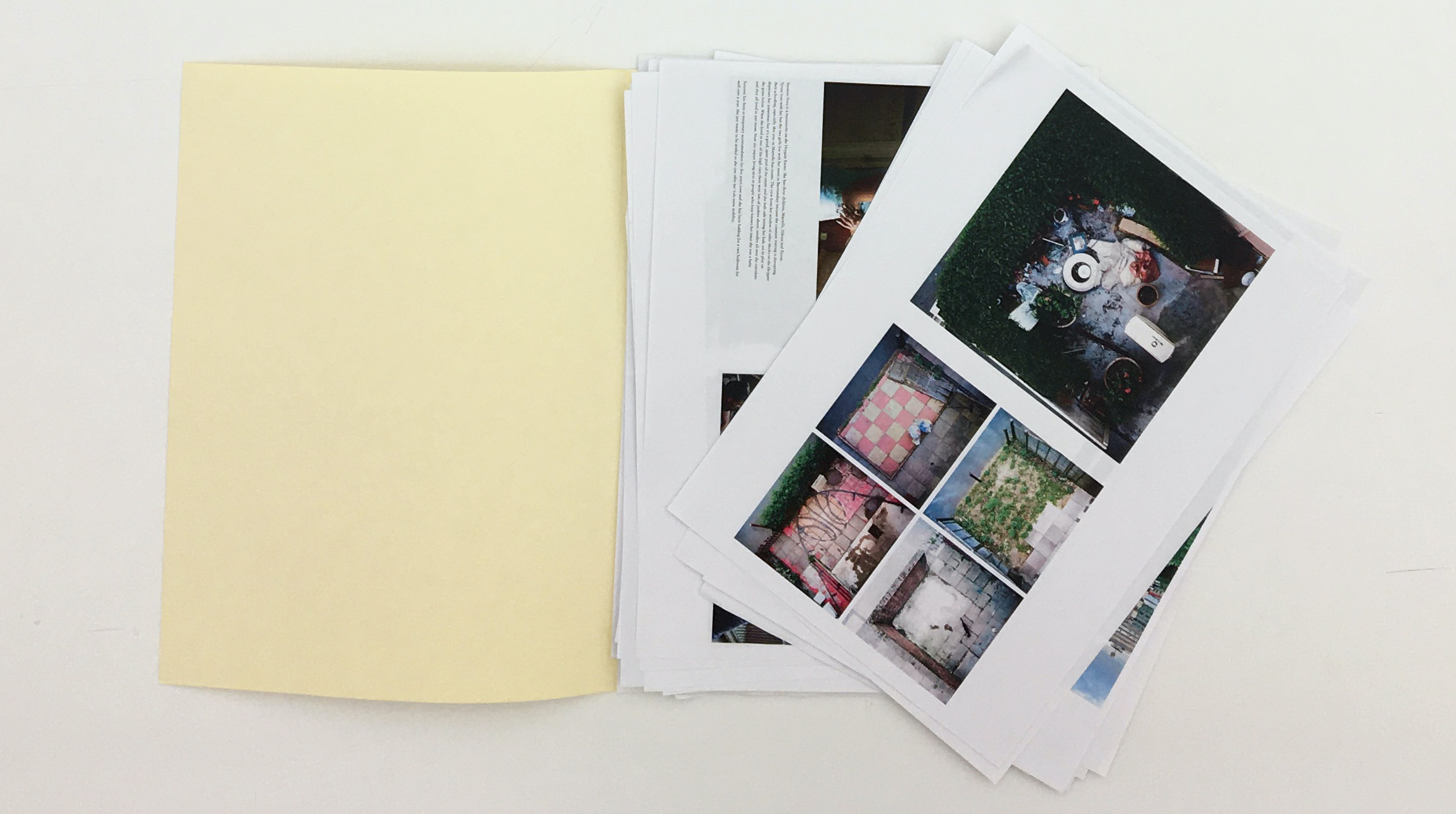 Sheets of paper with images printed on inside open folder