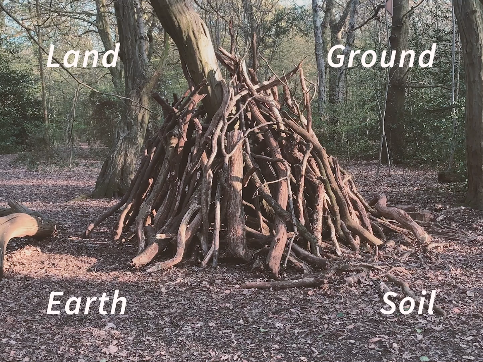 Image of tree with text of Land Ground Earth Soil