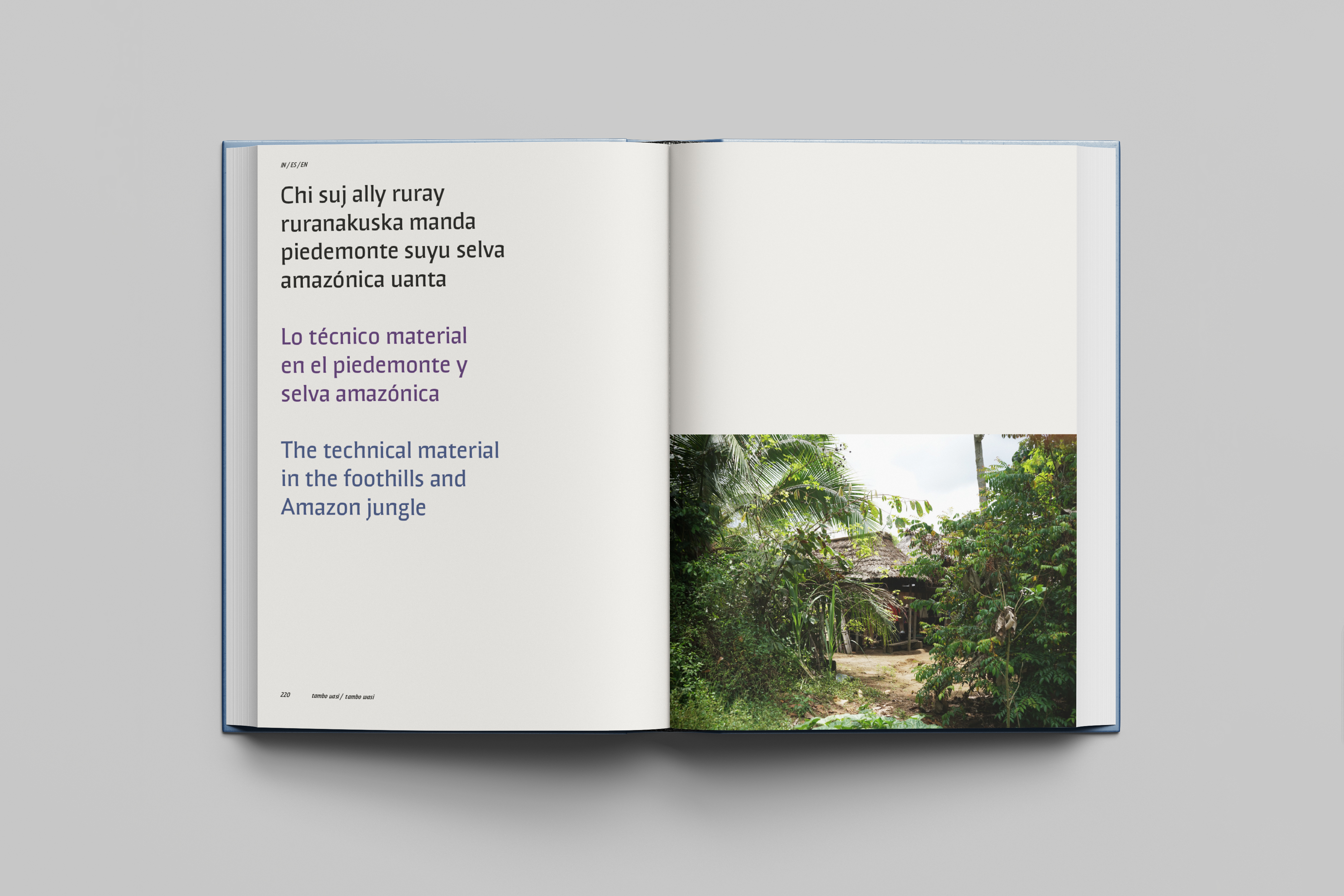 Double page spreads from a book.