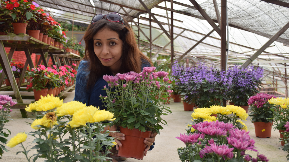 Woman amongst flowers