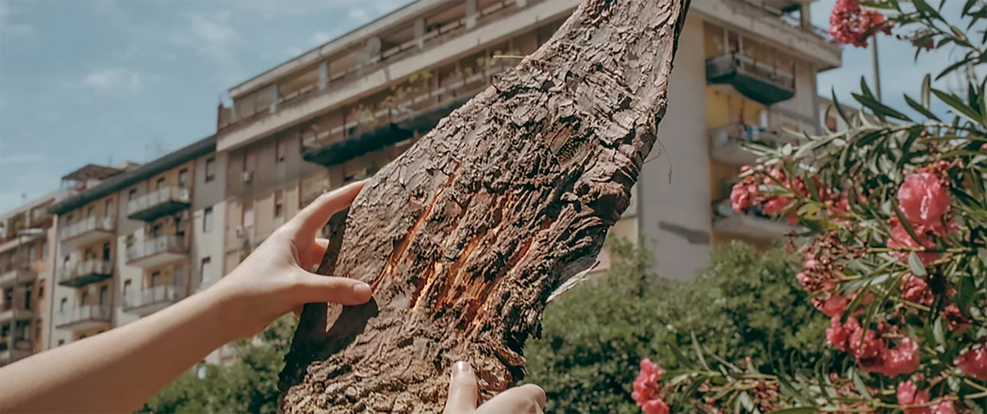 Hands holding up a piece of rough wood, against a blue sky and urban setting.