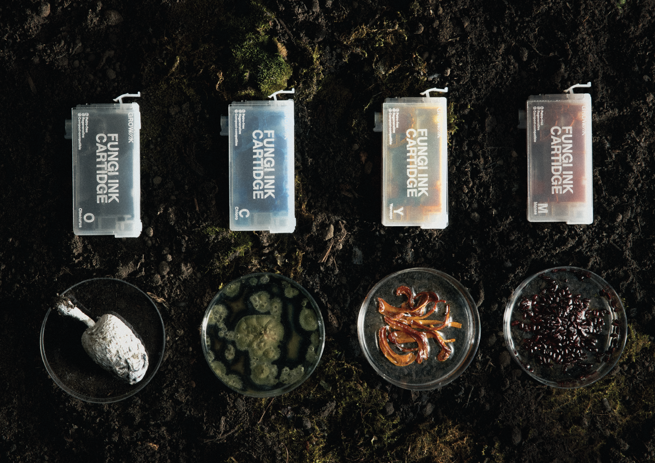 An image of different coloured Fungi on a moss like surface. The fungi is stored in frosted plastic tins and in small bowls