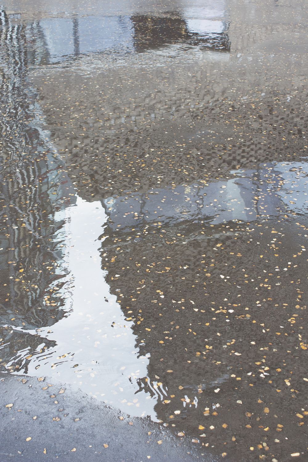 reflection of the tate in a puddle