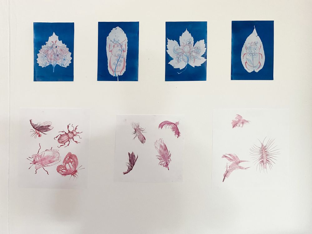 Mono prints using oil based ink on different plants and bugs
