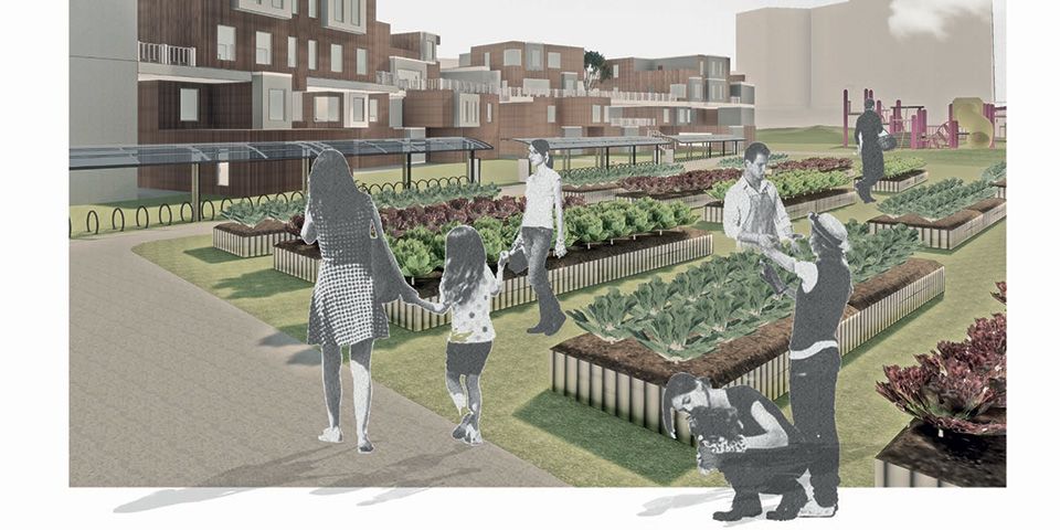 An architectural illustration showing a group of people using an urban allotment 