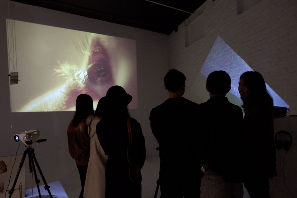 People in room watching projected film depicting an eye