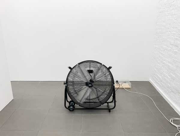 Treatment 2019 Patricia L. Boyd, Cell Project Space, photography Leo Babsky