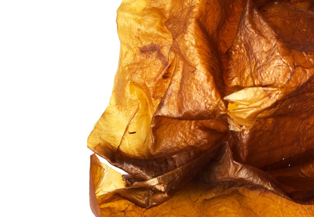 Transparentrown material with light 