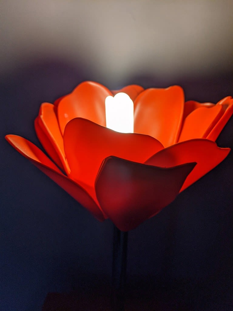 Photograph of red flower with light bulb in the centre