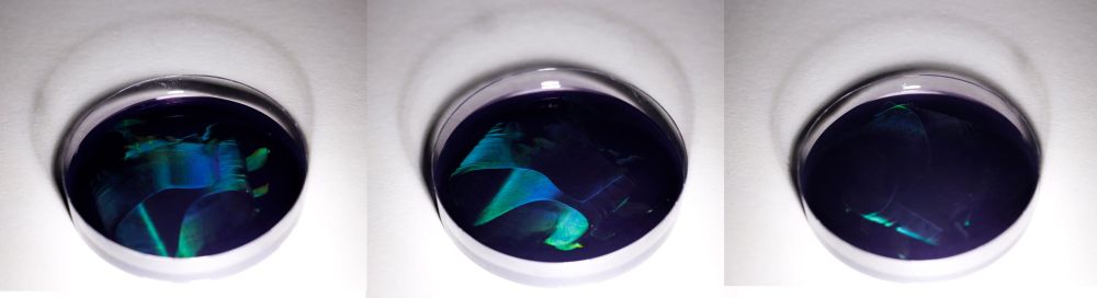 Spectrum of colours set in resin