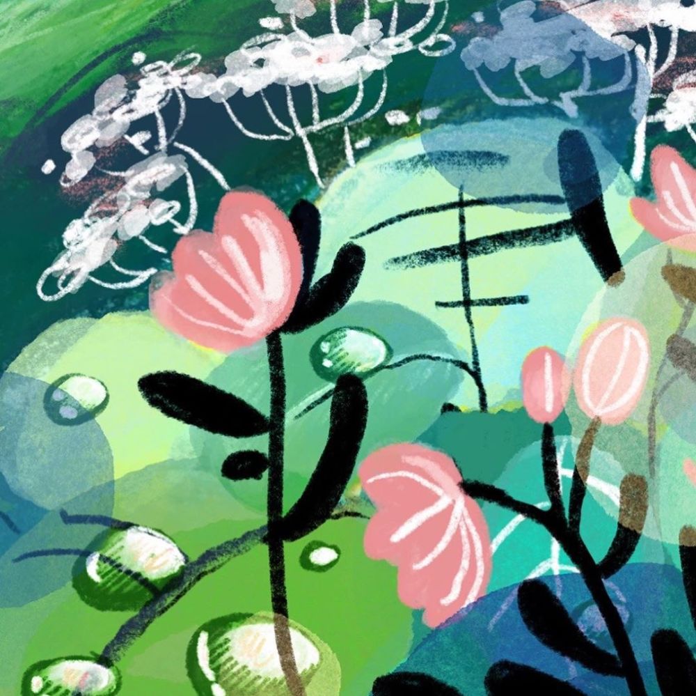 Anna's book illustrations.