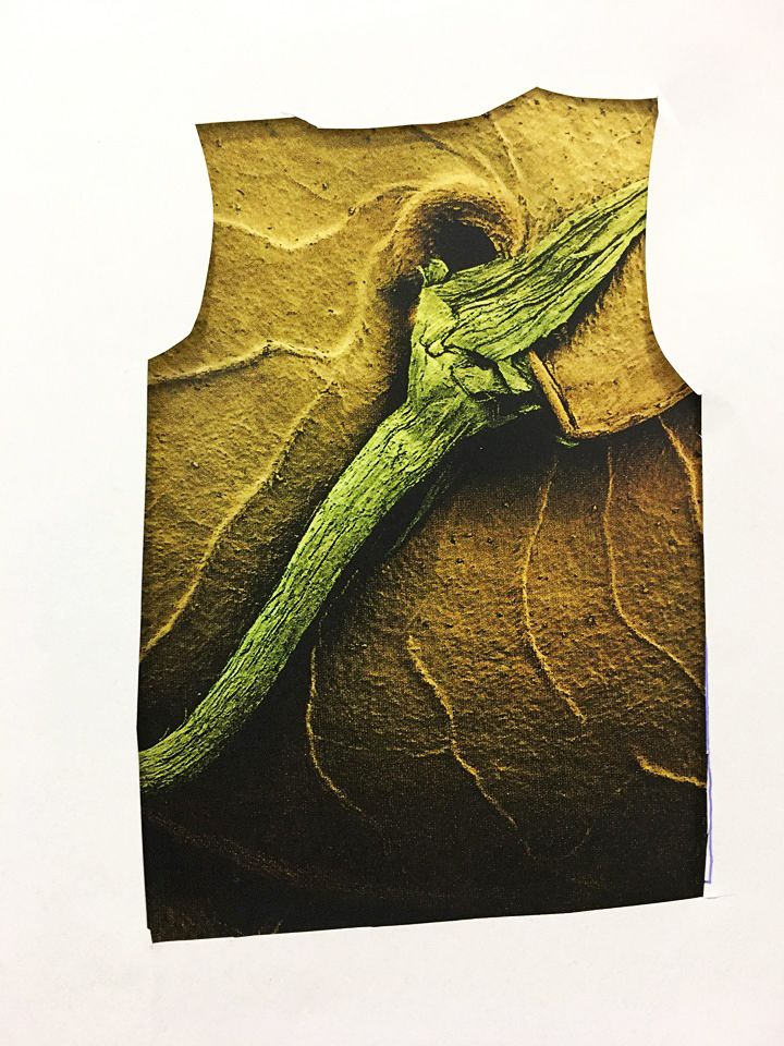 Natural knot, stem attached to leaf.