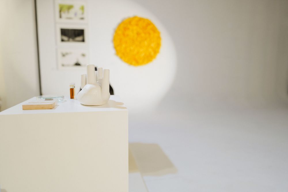 Tradition & Transition Exhibition 2022 
