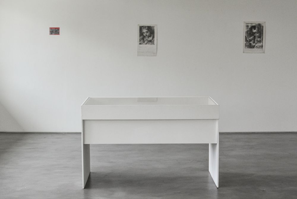 a cvitrine in a gallery space