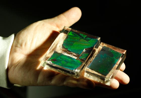 Spectrum of colours set in resin