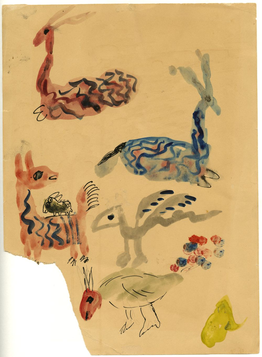Ian Godfrey sketchbook, animal drawings. 