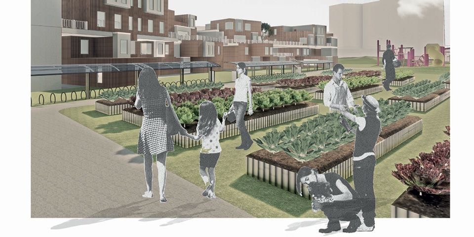An architectural illustration showing a group of people using an urban allotment 
