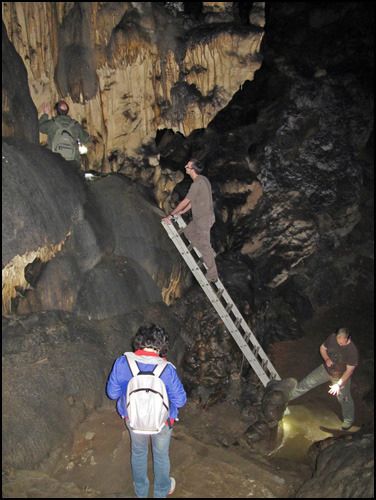 Professor Paul Pettitt is up a ladder in a cave marking a hand stencil