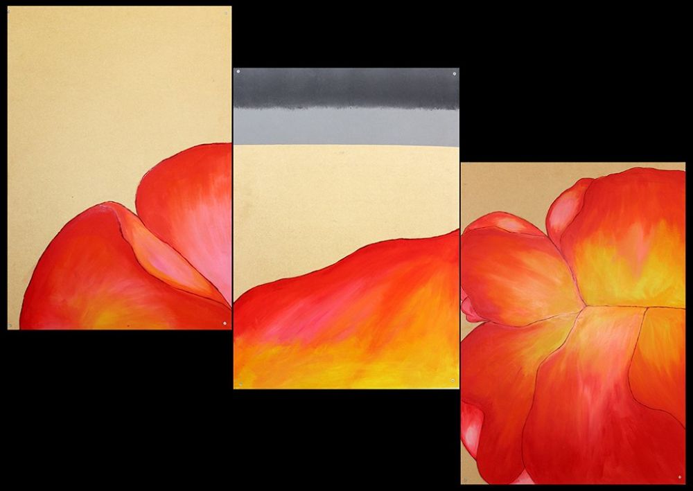 Drawings of red and yellow flower