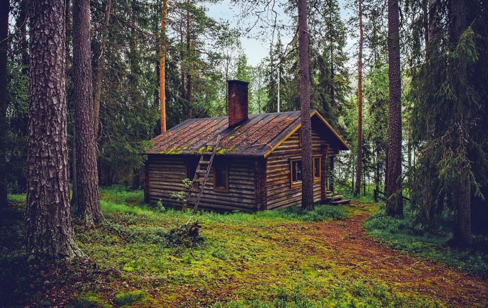 Image depicts a cottage in the woods.