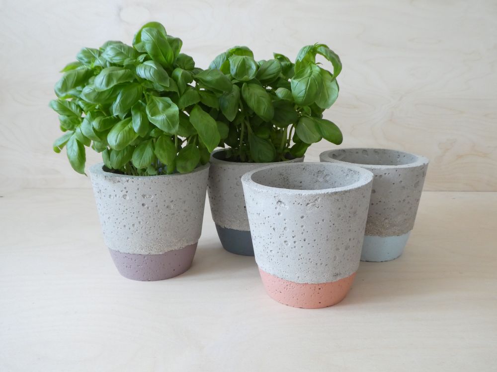 Four concrete plant pots, with plants in