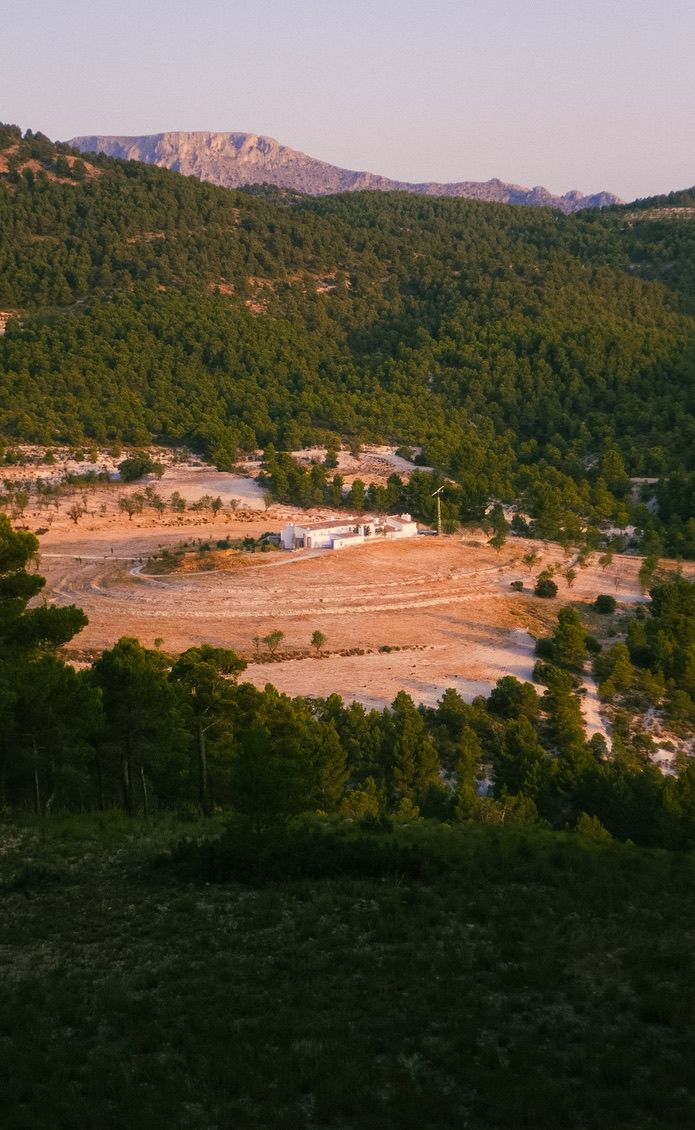 an analogue photograph of joya art residency building from a distance surrounded by pine forests