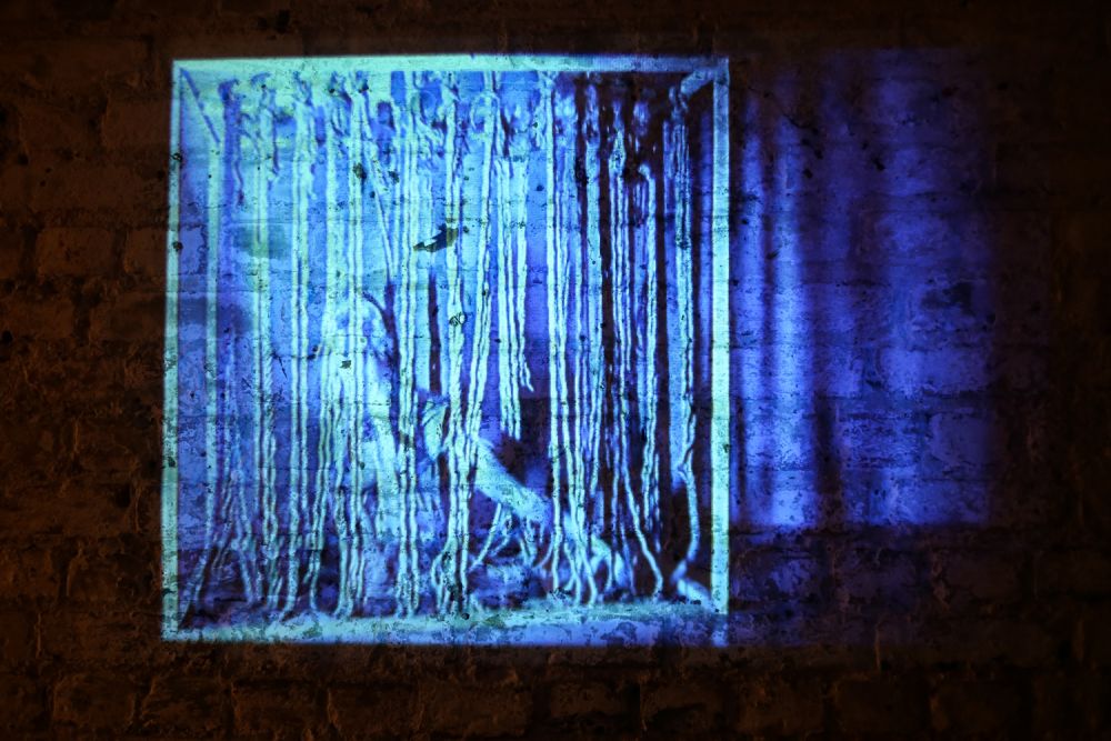 A projection of an image of a blue body