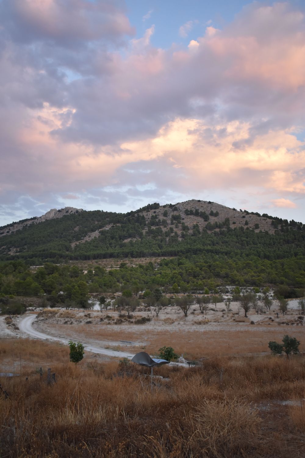 landscape of JOYA