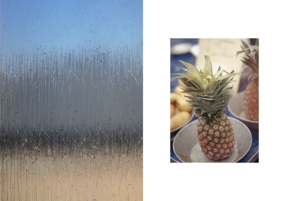 double image left is blurred through a window and right image is object seen through a window