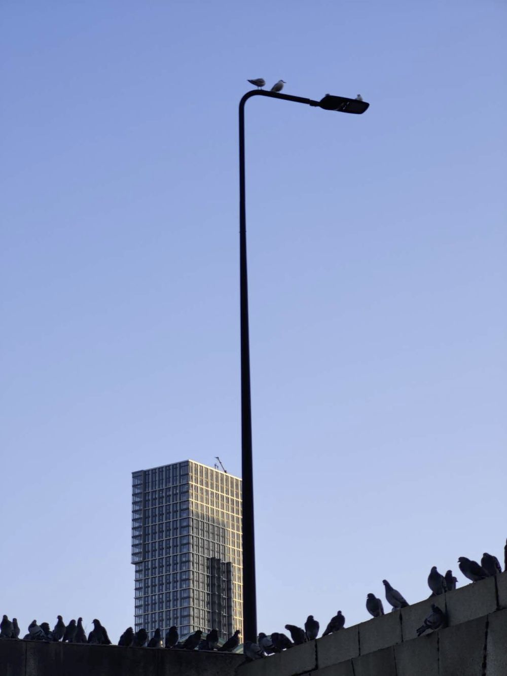 street lamp