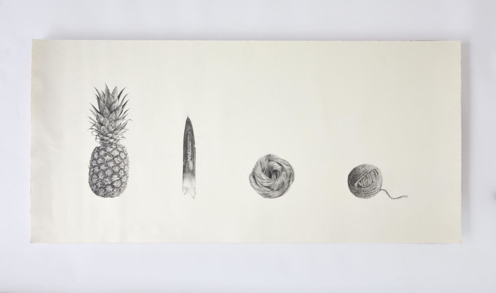Drawing of process from pineapple to ball of yarn