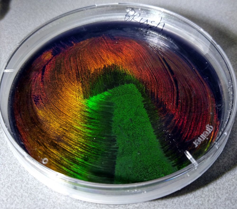 Spectrum of colours set in resin