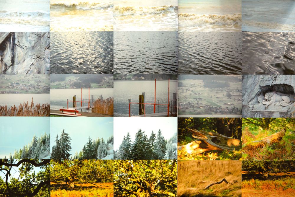 A large photographic piece made up of 16 square photos - al showing trees and water.