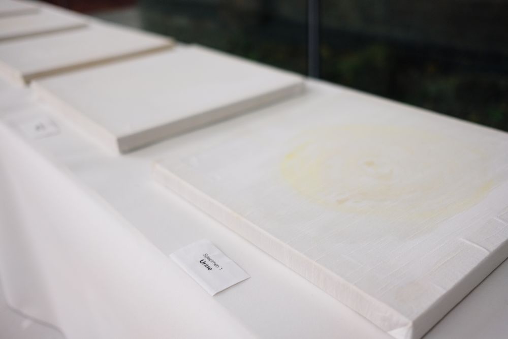 White paintings on canvas displayed flat on a plinth
