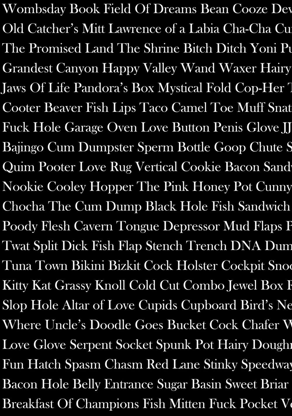 white text on a black background listing words for female genetalia