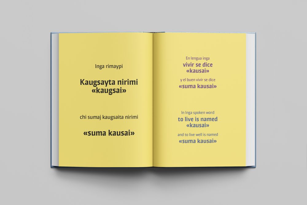 Double page spreads from a book.