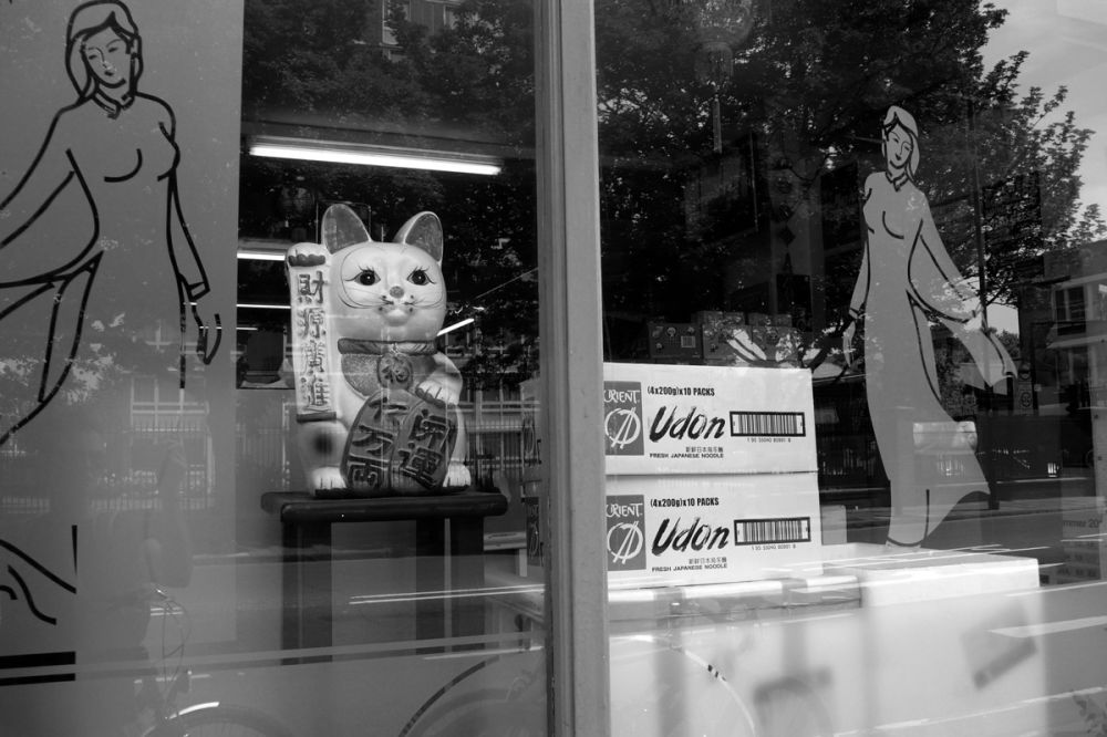 Japanese lucky cat in a shop window