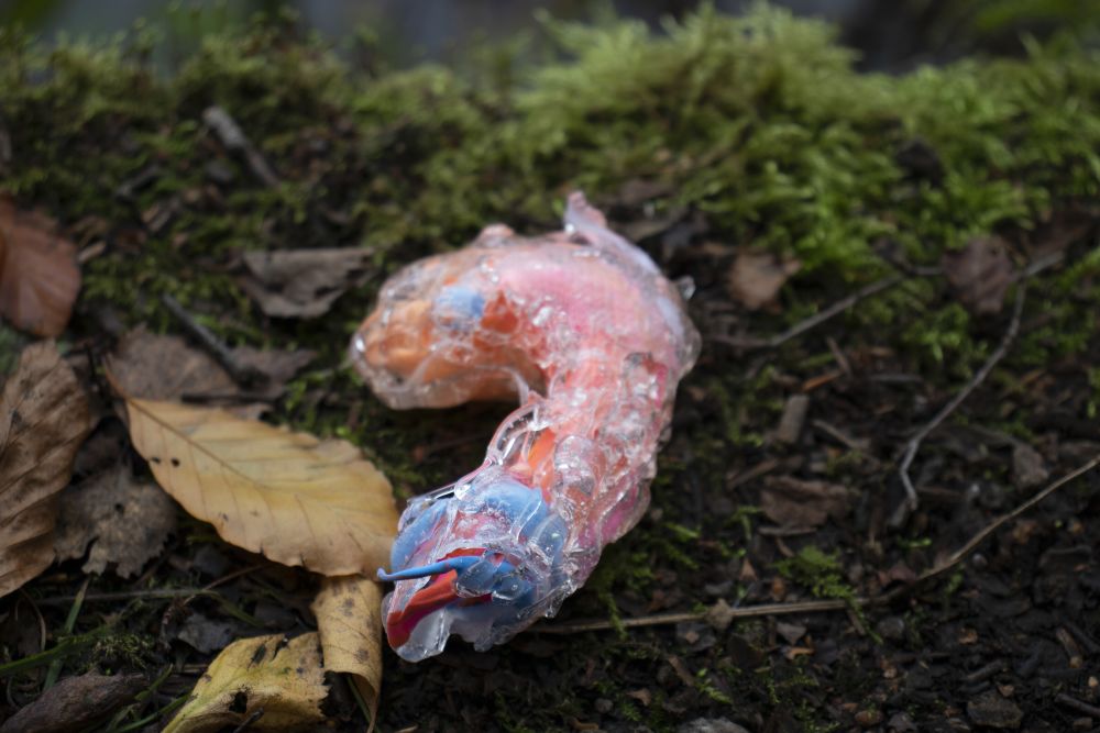 was sculpture on forest ground