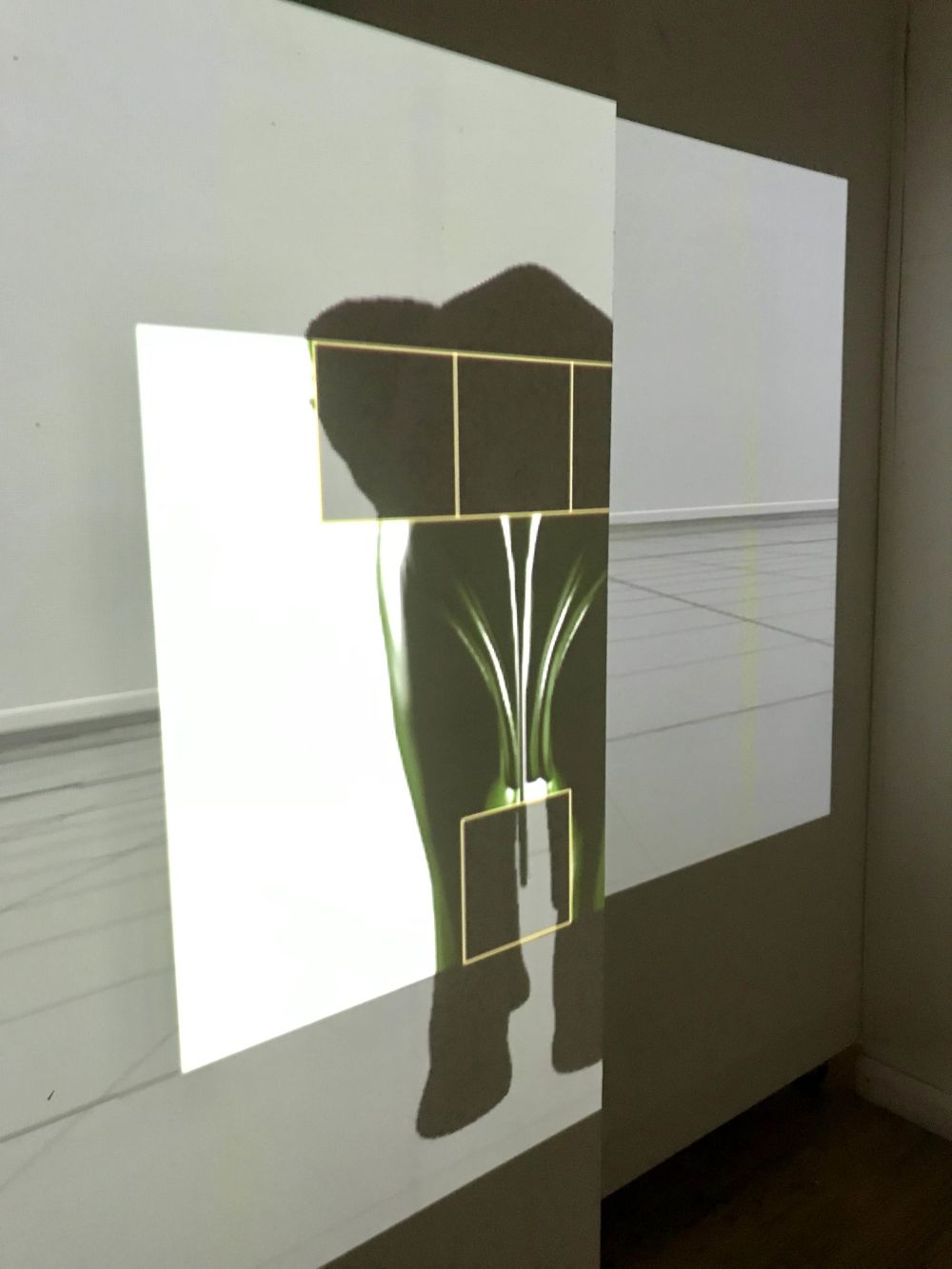 Image of student work projection as part of project