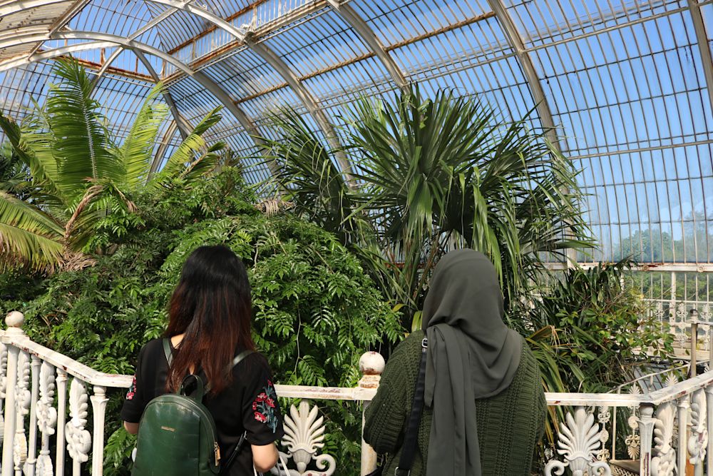Two students looking at plants in Kew Gardens